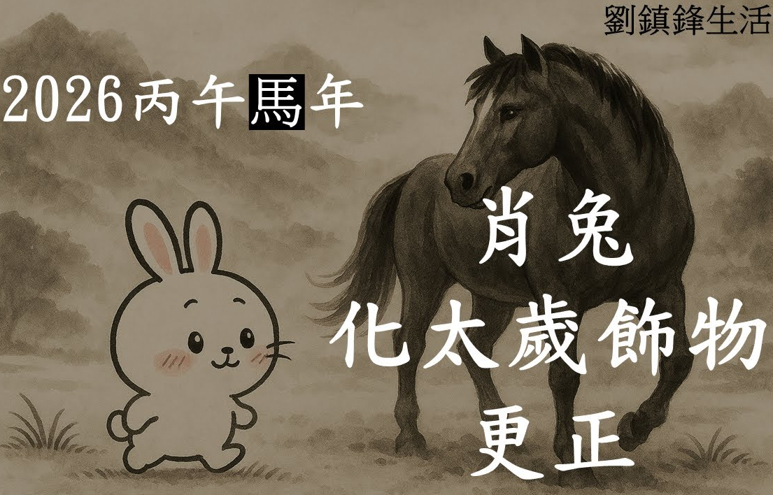 bunny in horsey year